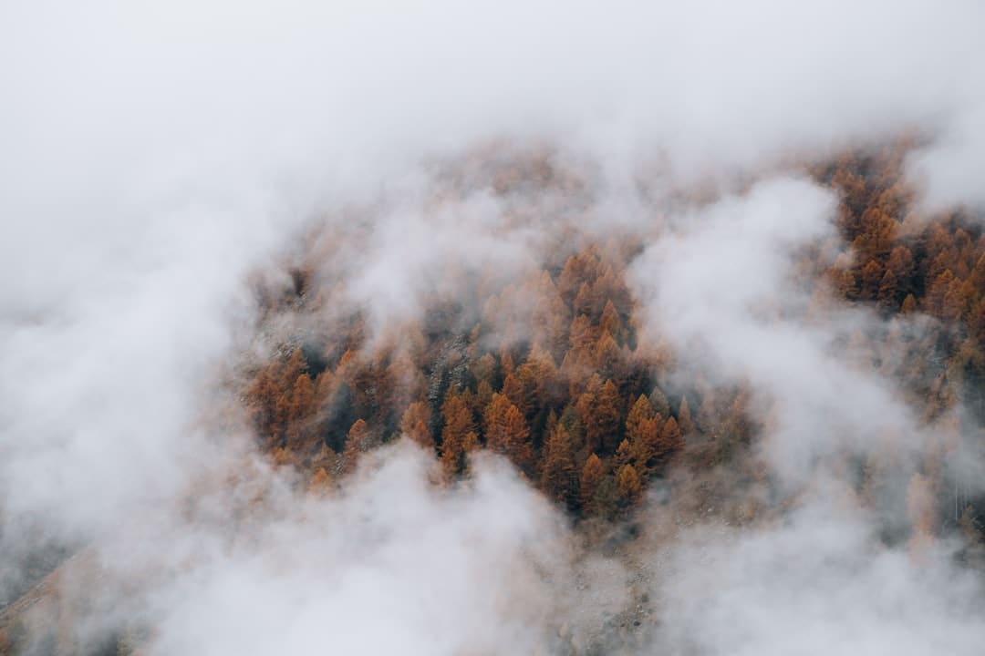 韩国“神话王国”南怡岛绝美夏景_